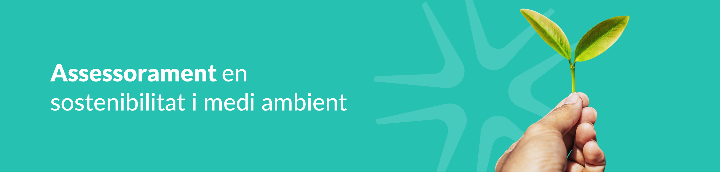 Assessorament en sostenibilitat i medi ambient.png (254 KB)