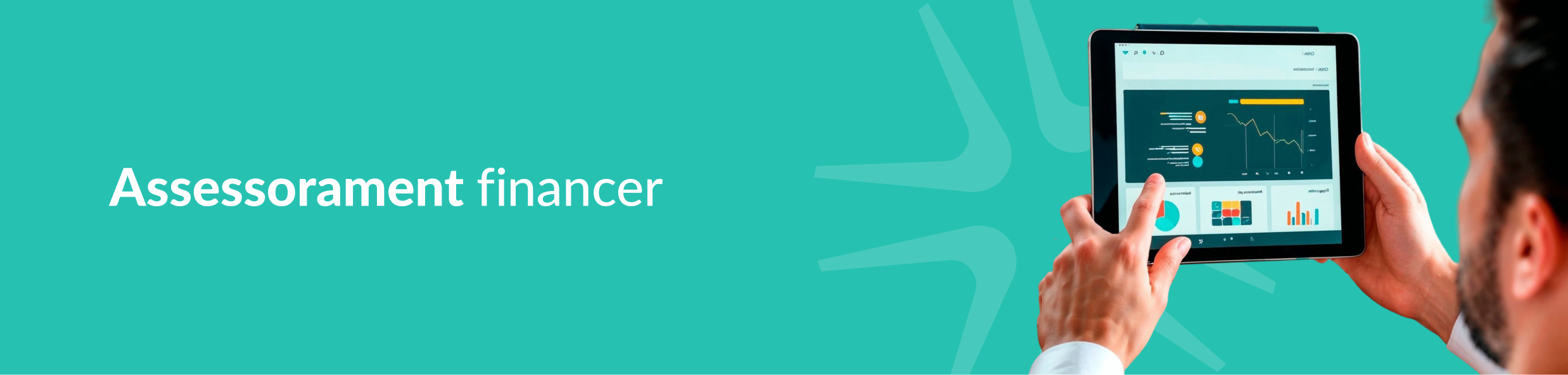 Assessorament financer.png (523 KB)