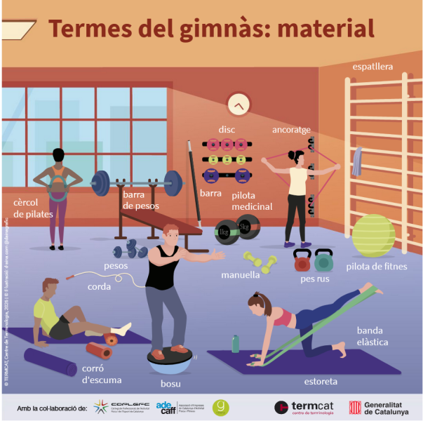 CartellGimnas-Infografia-Termcat2026.png (216 KB)