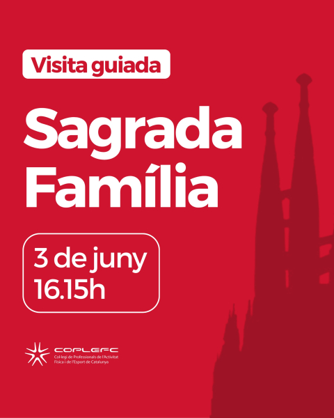 CoplefcCultura-SagradaFamilia-01.jpeg (131 KB)