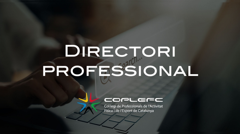 DirectoriProfessional.jpg (148 KB)