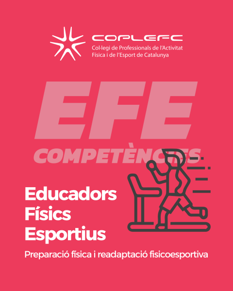 EFE-25.png (56 KB)