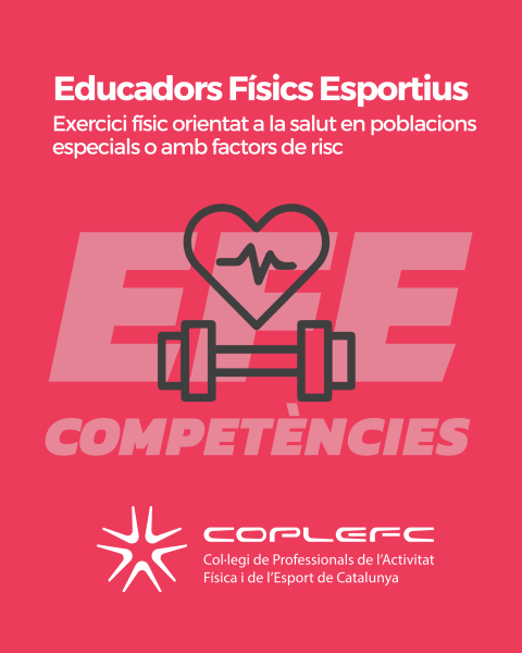EFE-28.png (59 KB)