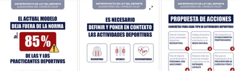 LeyDeporte-ConsejoCOLEF-02.jpg (129 KB)