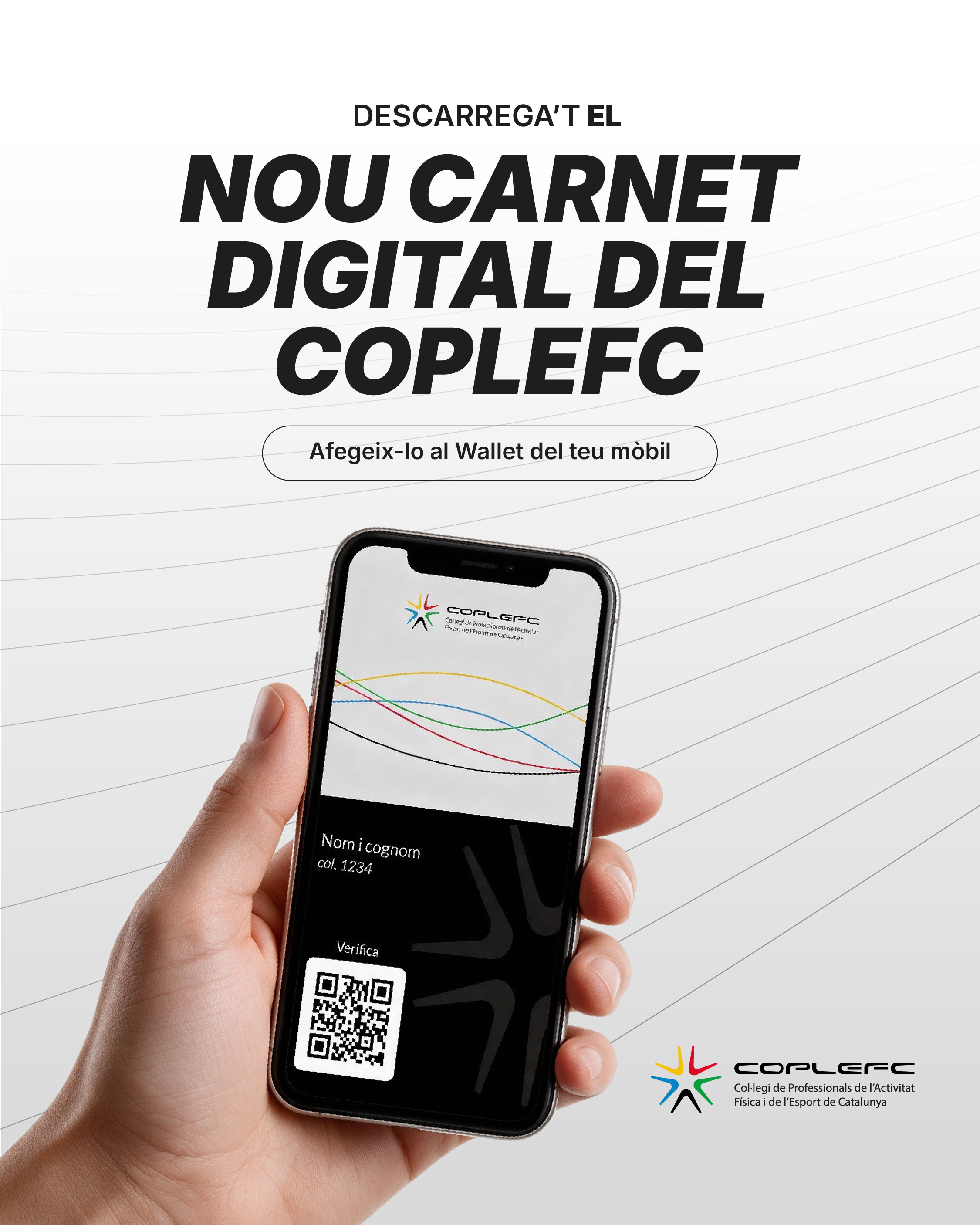 CARNET DIGITAL POST.jpg (527 KB)